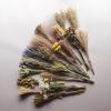 23 Kinds of 100% Natural Dried Flowers (K) view 3