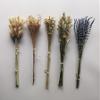 23 Kinds of 100% Natural Dried Flowers (K) view 4