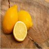 Lemon Fruit Tree Eureka Variety Bonsai Lemon Tree grafted view 2