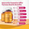 2 Packs Quercetin with Bromelain Gummies, Elderberry, Echinacea, Vitamin C D Zinc - Immune System Support 120 Counts Pure Quercetin Supplements Gummies for Kids & Adults view 2