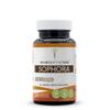 Secrets of the Tribe Sophora 60 Capsules, Made with Vegetable Capsules and Sophora Flavescens Promotes a Healthy Cardiovascular System (60 Capsules) view 1