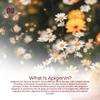 Nootropics Depot Apigenin Capsules | 50mg | 180 Count | >98% Apigenin | Supports Relaxation, Joint Health, and NAD+ Levels view 4