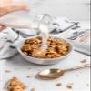 BeeFree Warrior Mix Gluten Free Granola - Chunky Granola Bites | Paleo, Low Carb, Grain Free, Preservative Free, Oat Free | Low Calorie Snacks | Bob's Salted Caramel, 9 Ounce Bag view 4
