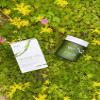 Algae Oil Ethical Omega-3 Supplement sourced from Algae. 550 Omega-3, 300 DHA, 150 EPA - Vegan Friendly view 4