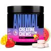 Animal Creatine Chews Tablets - Enhanced Creatine Monohydrate with AstraGin to Improve Absorption, Sea Salt for Added Pumps, Delicious and Convenient Chewable Tablets - Fruit Punch view 1