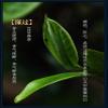 2020 Dongguo Raw Pu-erh Tea Cake, 357g, from Yunnan  SHENG JIA YUAN view 4