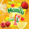 Sweetzo - Mamba Strips and Tropic Chews, Individually Wrapped Fruit Flavored Chewy Candy, Summer 2024 Candies for Goodie Bags and Party Favors, Pack of 2, 7 Ounces view 3