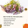 Crysalis Red Thyme (Thymus vulgaris) Oil - 1.01 Fl Oz (30ml) view 3
