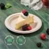 100% Compostable Paper Plates 9 Inch [500 Count] Heavy-Duty Dinner Plates - Natural Brown Color Unbleached Bagasse - Eco-Friendly Disposable Biodegradable Sugarcane Plates - [Bulk Case 4 x 125 Pack] view 4