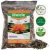 Muicle Mexican Honeysuckle Hierba tea 2 oz 100 % natural ,Gabio Green herbs (2 oz) view 3