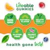 Lifeable Vitamin B6 Gummies | 100mg | Great Tasting VIT B6 Supplement | Vegan B6 Vitamins for Nerve Support Supplement | Vitamin B 6 for Adults, Men, Women | 60 Gummies view 4