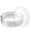 [10'' 240 Pack] 10'' inch Premium Heavy Weight Crystal Clear Classy Disposable hard Plastic Main Dish plates