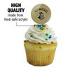 GRAPHICS & MORE Central Florida Knights Cupcake Picks Toppers Decoration Set of 6 view 3