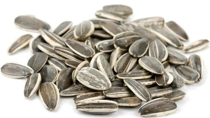 1LB Raw Whole Sunflower Seed in Shell by Nuts to You | Essential Vitamins & Minerals | Healthy Superfood Snack Vegan, Keto, Kosher, Non GMO, Gluten Free, Stellar Selenium, Mighty Magnesium