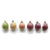 Wholeberry Naturally Delicious Dried Passion Fruit Rounds 8 oz x 8 Bags Maracuja Fruit Snacks Passion Fruit Pulp Sour & Sweet Less Seed, 64 oz view 3
