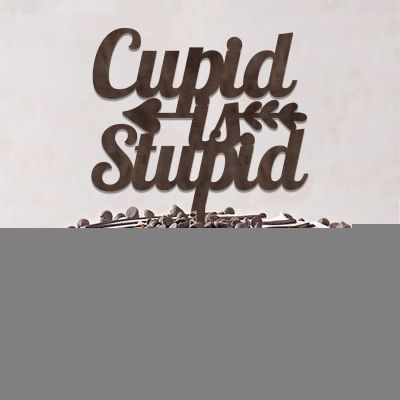 Cupid Is Stupid Funny Mr & Mrs Wedding Anniversary Cake Toppers Silhouette Mr & Mrs Silhouette Cake Topper Custom For Wedding Anniversary Cake Decorations Engagement Gifts For Couple Wood