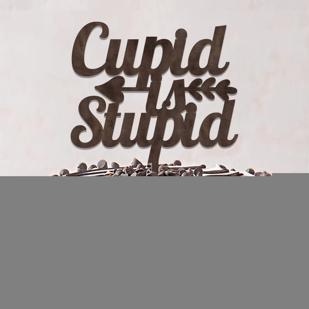 Cupid Is Stupid Funny Mr & Mrs Wedding Anniversary Cake Toppers Silhouette Mr & Mrs Silhouette Cake Topper Custom For Wedding Anniversary Cake Decorations Engagement Gifts For Couple Wood