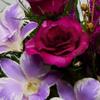 Luxury Orchid Arrangement | Preserved Orchids in Glass Vase | Long-Lasting Flowers for Anniversary, Wedding, or Corporate Gifts view 4
