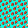 Turquoise Strawberry Gift Wrap, 12 foot x 30 inch roll view 2
