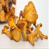 Forest Food Shop, Chanterelle Mushrooms Powder Dried, 3 Ounce view 3