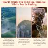 XIXICHA White Tea 2013 Shou Mei Dragon Pearls Tea FudingWhiteTea Balls Tea Chinese White Tea 7oz planting-Rich in antioxidants   view 2