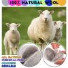 10 Pack Wool Dryer Balls XL 3 Inch Reusable Laundry Natural No Lint Fabric Softener Replaces Dryer Sheets Wool Balls for Reduce Wrinkles Save Drying Time view 3