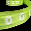 1 Pcs 1 1/2"W Daisies Flowers Glitter Polka Dot Wired Ribbon Lime Green White 5 Yards, Ribbon for Gift Wrapping | #AA120RK view 1