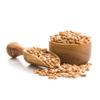 Birch & Meadow 3.5 Gallons of Spelt Berries, Dehulled, Non-GMO, Non-Irradiated view 4