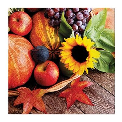 Fall Thanksgiving Napkins Paper for Decoupage Luncheon 20 Count 3-Ply Tissue -13" x 13" (Unfolded) Autumn Treasures