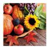 Fall Thanksgiving Napkins Paper for Decoupage Luncheon 20 Count 3-Ply Tissue -13" x 13" (Unfolded) Autumn Treasures view 1