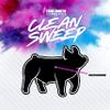 Clean Sweep view 1