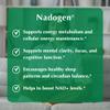 Nadogen NAD+ Supplement for Cellular Energy & Healthy Aging | 250mg Nicotinamide Riboside + Pterostilbene | Vegan, Non-GMO | Metabolism & Cognitive Support view 4