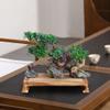 Artificial Bonsai Plant Artificial Podocarpus Bonsai Ceramic Monk Realistic Green Leaves Chinese Creative Bonsai Decorative Ornaments for Living Room and Office Artificial Bonsai Tree view 4