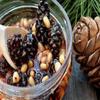 (Pack of 2) Natural Pine Cone Jams Bundle with Cedar Nuts Kernel and Baby Pine Cones 420g/14.8oz and 450g/15.87oz Organic Siberian Delicacy view 2