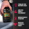 ALPHA LION Superhuman Pump Pre Workout Powder, Caffeine Free & Stim Free Preworkout Supplement, Nitric Oxide Booster, Muscle Gainer, Energy & Focus (42 Servings, Muscle Melon Flavor) view 2