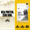 Levels Grass Fed Whey Protein Powder, No Artificials, 24G of Protein, Vanilla Bean, 1LB view 2