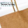 100 Pcs Paper Gift Bags, Kraft Paper Bags with Handles Great for Christmas Graduations Baby Showers Thanksgiving Halloween Easter Mother's Day Kids Parties Wedding Bridal Showers-2-10x5x12in view 4