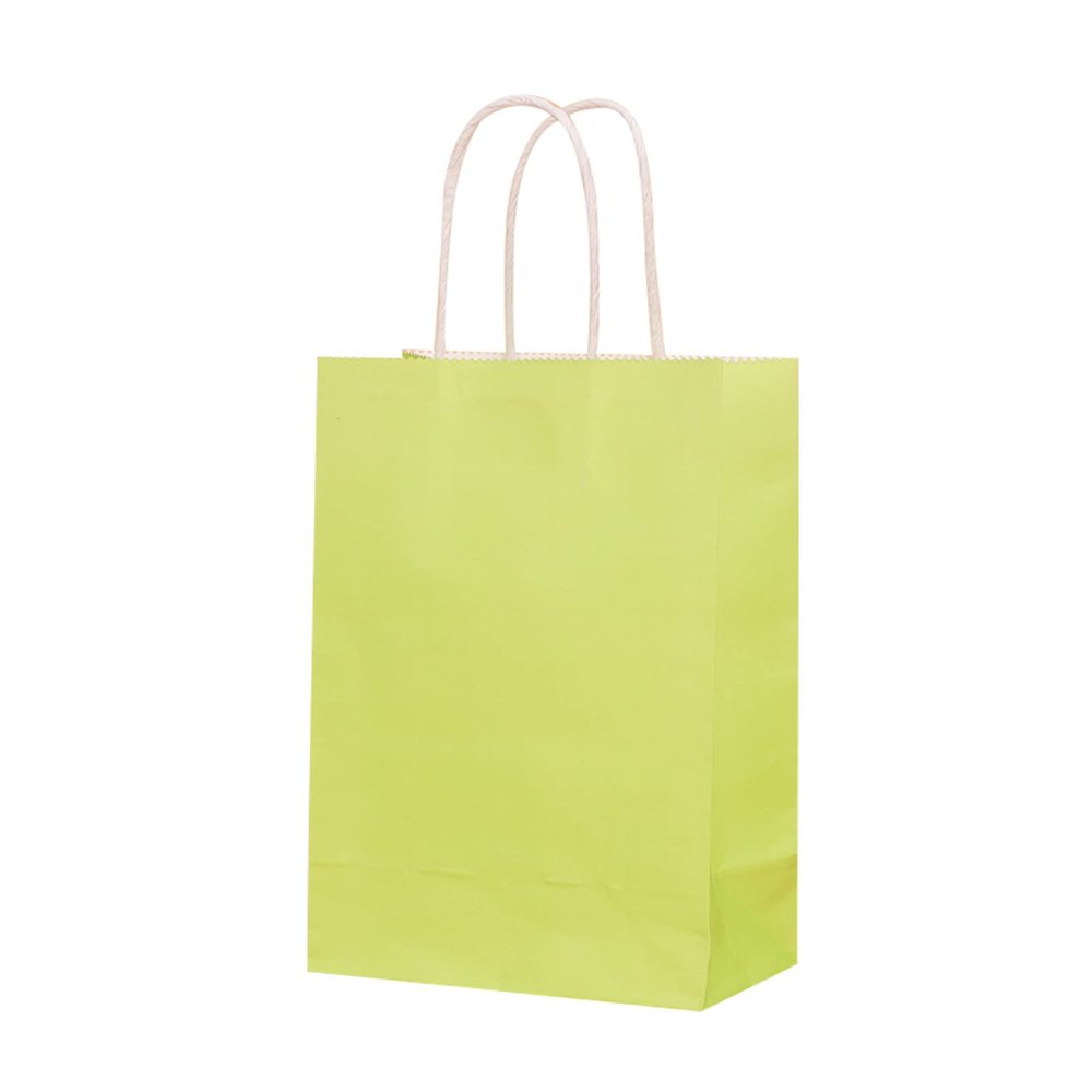 100 Pcs Kraft Paper Bags with Handles, Kraft Bags Paper Gift Bags Kraft Shopping Bags Great for Christmas Baby Showers Thanksgiving Halloween Easter Wedding Bridal Showers-8-10x5x12in