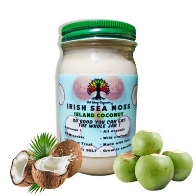 GET WAVY ORGANICS Wildcrafted 100% Organic Irish Sea Moss Gel Infused with Coconut, Vegan Super Cell Food Rich in Vitamins A, B, C, D, E (16 oz)