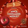 Air Wick Plug in Scented Oil Refill, 7ct, Apple Cinnamon Medley, Fall Scent, Essential Oils, Air Freshener view 4