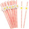 Lauwell 100 Pcs Daisy Paper Straws Party Decorations Disposable Two Groovy Flower Floral Pink for Kids Girls Birthday Supplies Little Cutie Baby Shower Wedding Decor view 1