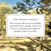 Orchard Pond Organic Green Olives - Grown in Greece, Perfect for Cheese & Wine Pairings, Certified Organic, 6oz view 3