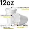 Shop Square 12 Oz Disposable Foam Cups (100 Pack), White Foam Insulates Hot & Cold Beverages, Made in the USA, To-Go Cups - for Coffee, Tea, Hot Cocoa, Soup, Broth, Smoothie, Soda, Juice view 2