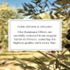 Orchard Pond Organic Kalamata Olives - Grown in Greece, Perfect for Mediterranean Dishes, Certified Organic, 6oz view 3