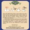 Herbal Cup Ayurveda Elderberries Tea, No Caffeine Organic Herbal Teas (Organic Turmeric Ginger, 16 Count (Pack of 6)) view 3
