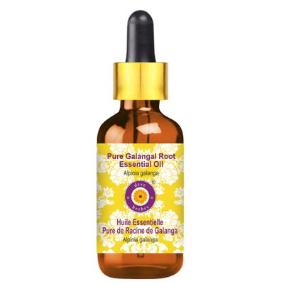 Deve Herbes Pure Galangal Root Essential Oil (Alpinia Galanga) with Glass Dropper Steam Distilled 100ml (3.38 oz)