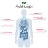 Foods For Gut Lactobacillus Johnsonii Probiotic Powder 100 Billion cfu's | No Additives | Direct from Manufacturer | No Third-Party Storage | Immune Support | L. Johnsonii | 30 Grams (1.05 Oz) view 4