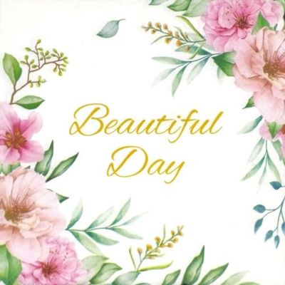 AM Dcor - 20 Count Soft 3-Ply Tissue Decoupage Luncheon Paper Napkins -13" x 13" (Unfolded) (Beautiful Day, 13x13 Inch (Pack of 20))