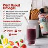 Barlean's Pink Lemonade Vegan Omega 3 Supplement, Liquid Algae Oil with 630 mg EPA & DHA, Plant Based Omegas from Algal Oil, Non-GMO & Gluten Free, 16 oz view 3