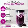 Purple Sea Irish Moss Raw Organic 100% Wildcrafted & Natural Raw Chondrus Crispus 5 Lb - Makes upto 1200oz of Fresh Gel - Rich in 92 Minerals, Perfect Smoothies & Immune Support, Non GMO and Sun Dried view 4